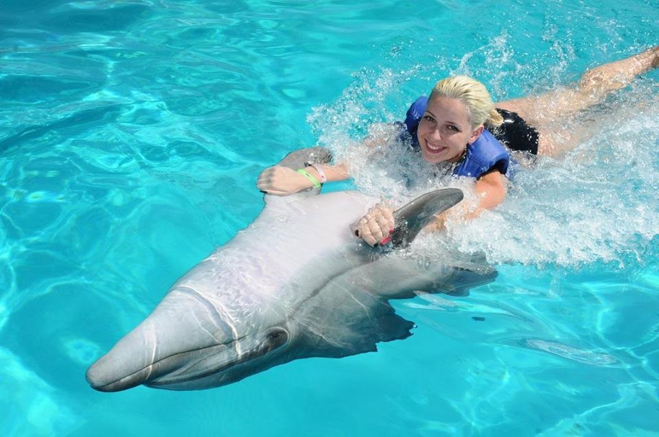 Belek Swimming with Dolphins | Both Way Transfer is Included