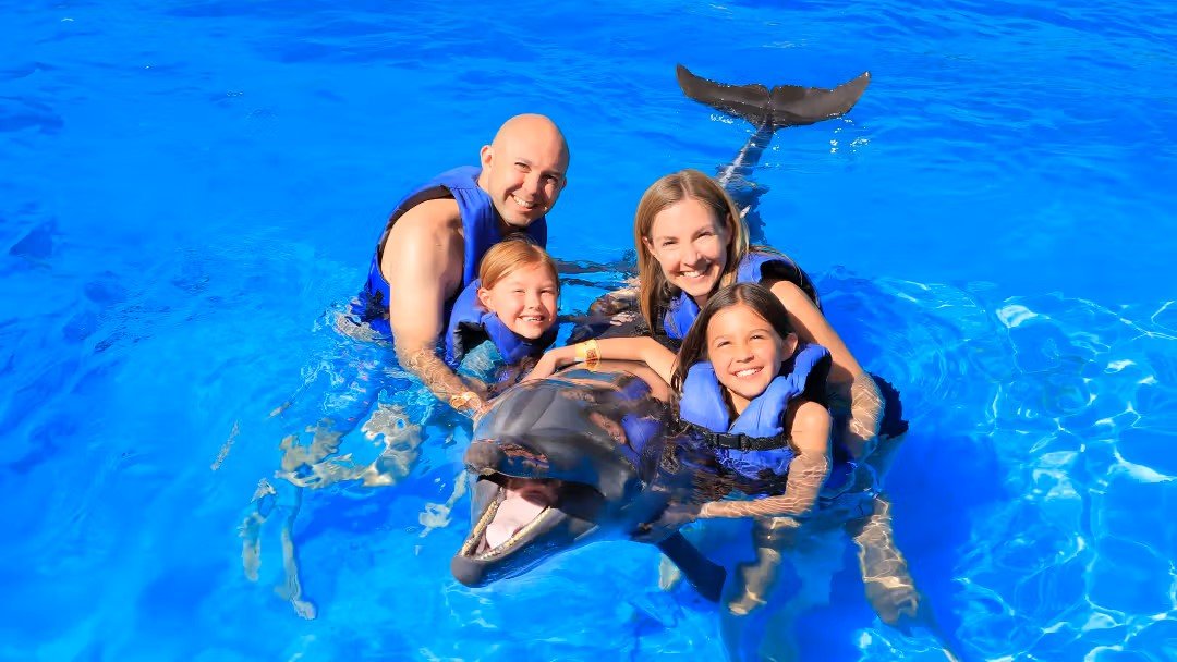Antalya Dolphin Show and Swimming with Dolphins | Both Way Transfer is Included