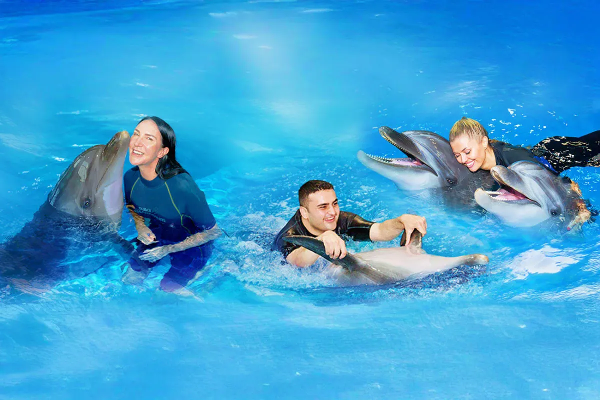 Belek Swimming with Dolphins | Both Way Transfer is Included